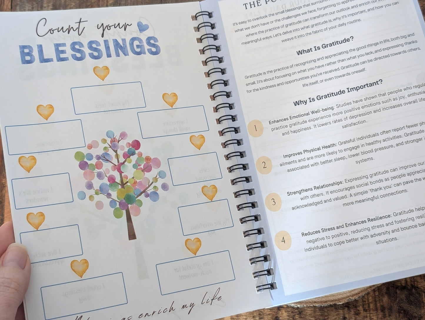 The Gratitude Ritual Set | Daily Journal, Reiki Selenite Bar & Affirmation Cards