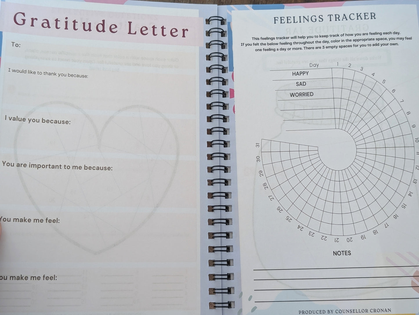 The Gratitude Ritual Set | Daily Journal, Reiki Selenite Bar & Affirmation Cards