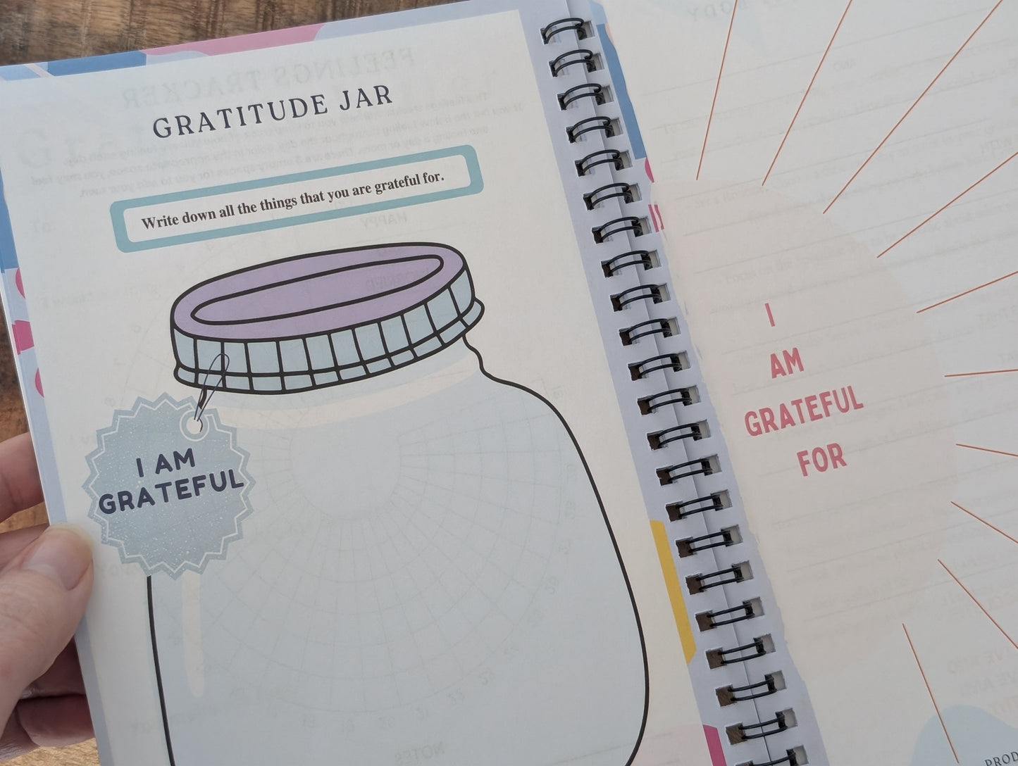 The Gratitude Ritual Set | Daily Journal, Reiki Selenite Bar & Affirmation Cards